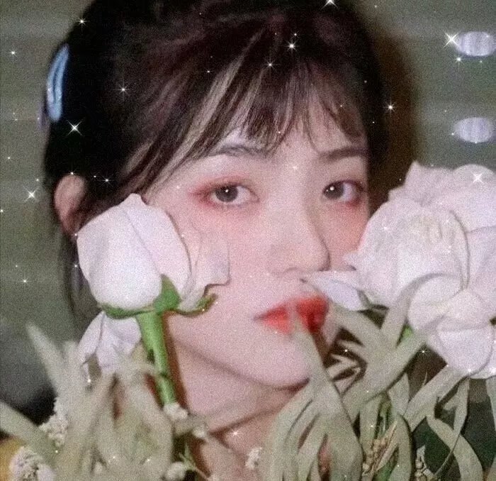 凯利帮的故事